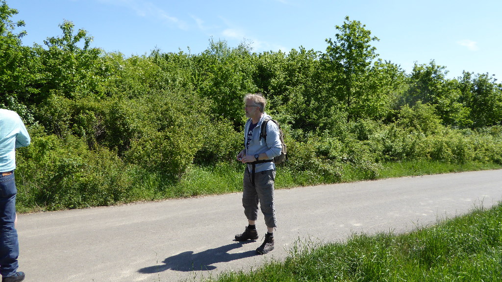 12Vattatach2015